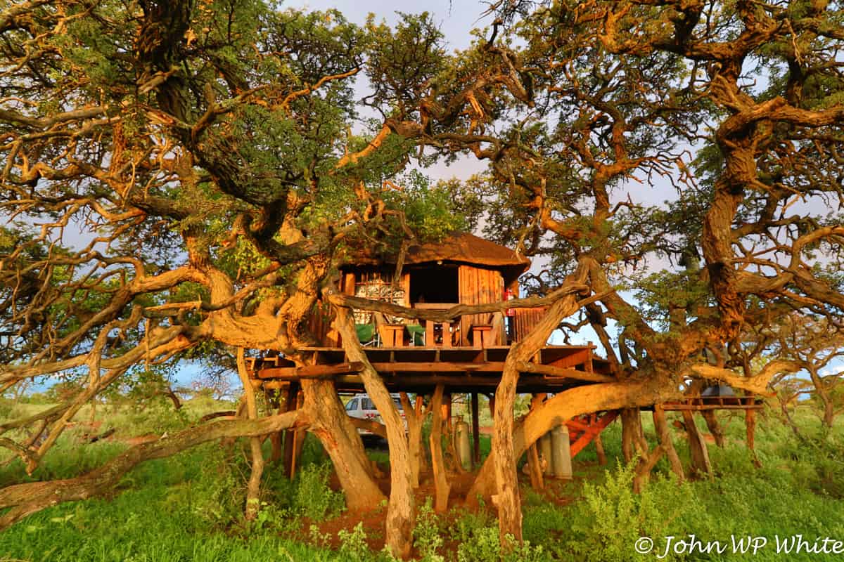 Kameeldoring Treehouse